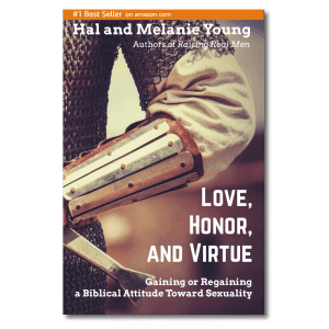 Book with warrior on the cover for teen and twenty-something boys about biblical sexuality
