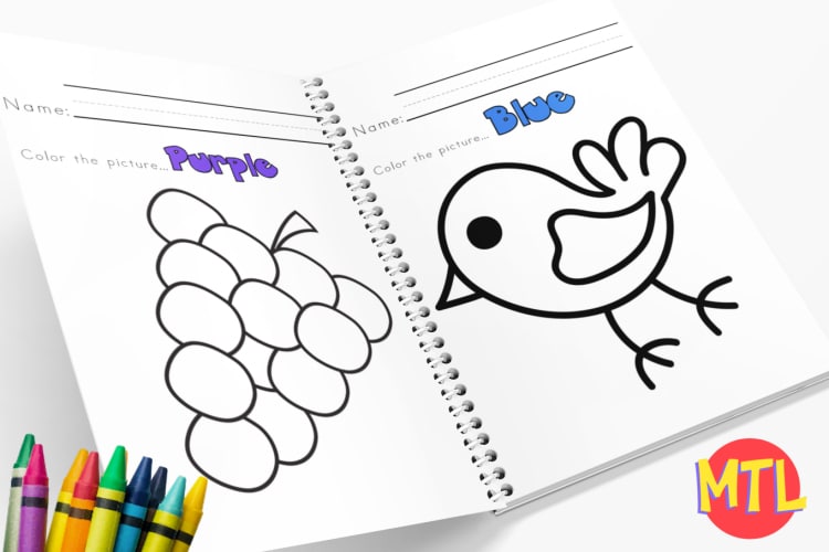 zz 21 Preschool Art Coloring Book - Color words b
