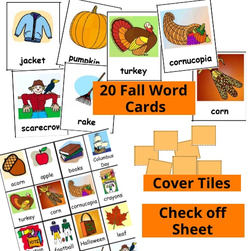 zy482 Fall Bingo b