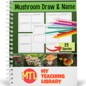 learning about mushrooms - fungi