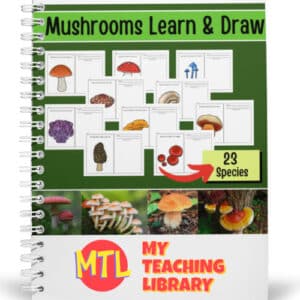 mushrooms - fungi - learn