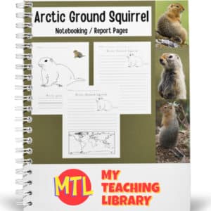 Arctic Ground Squirrel | Notebooking Pages