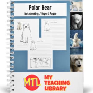 Polar Bear | Notebooking Pages