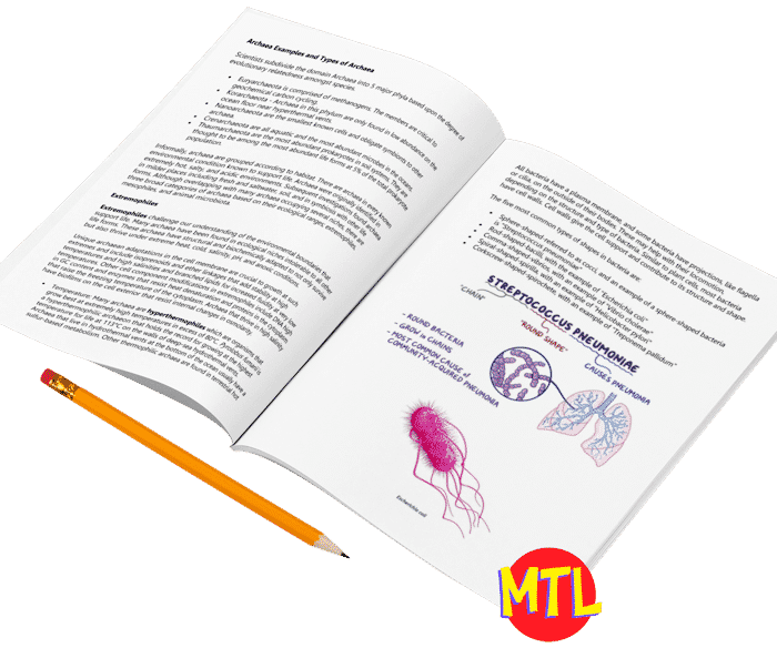 z 374 General Biology Unit 6 b