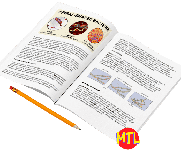 z 374 General Biology Unit 6 c