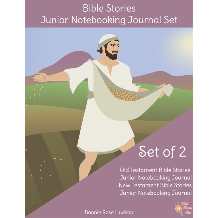 Bible-Stories-Junior-Notebooking-Journal-Set-Cover-for-WBR